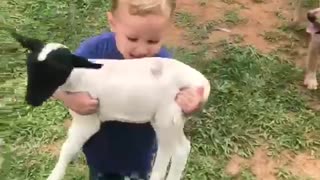 Kid Has His Hands Full on the Farm