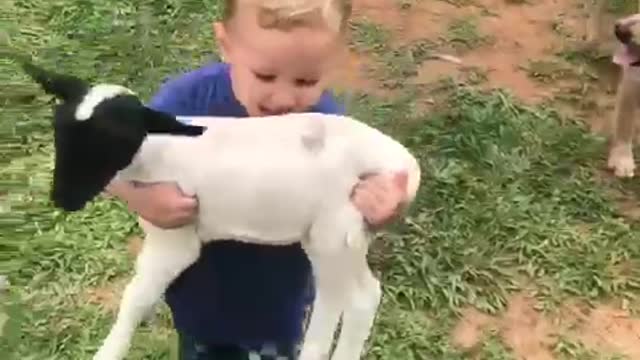 Kid Has His Hands Full on the Farm