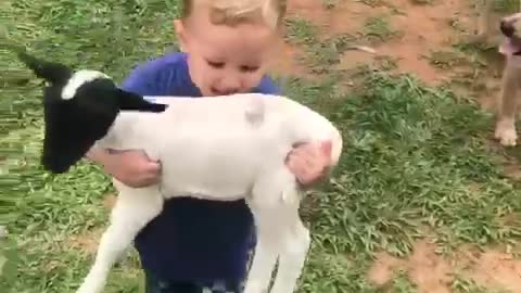 Kid Has His Hands Full on the Farm