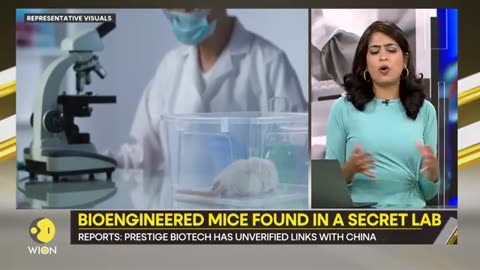 Gravitas US authorities uncover secret Covid19 lab