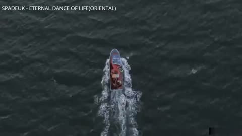 ♠️👽🇨🇳🇨🇳🇨🇳