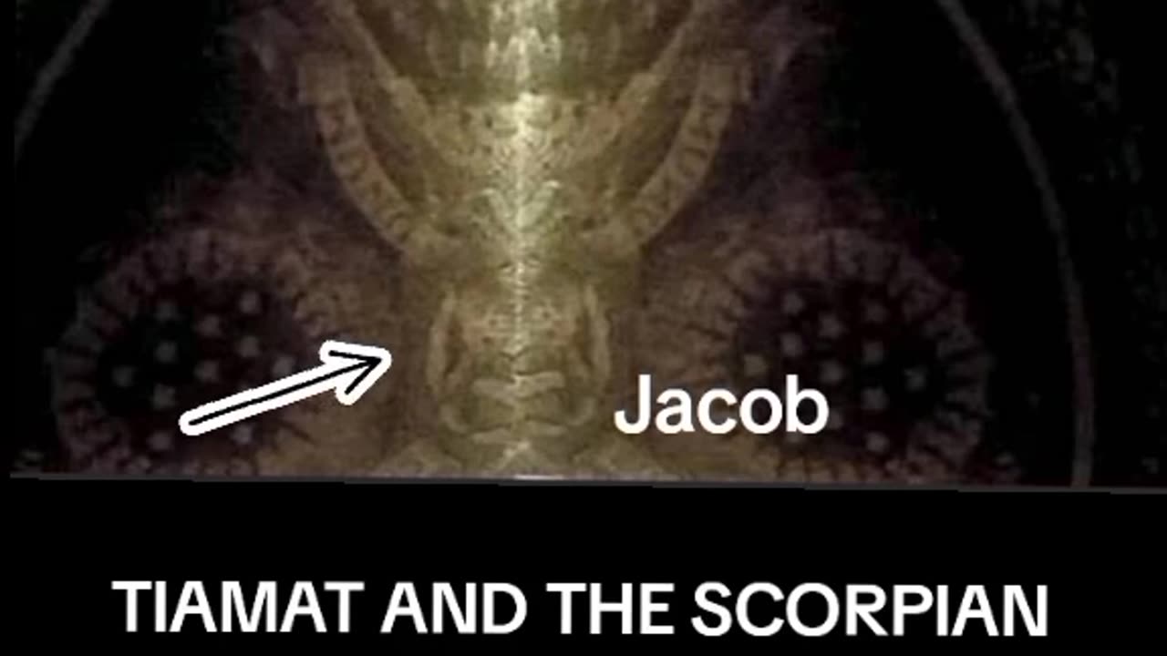 TIAMAT AND TGE SCORPIAN KING