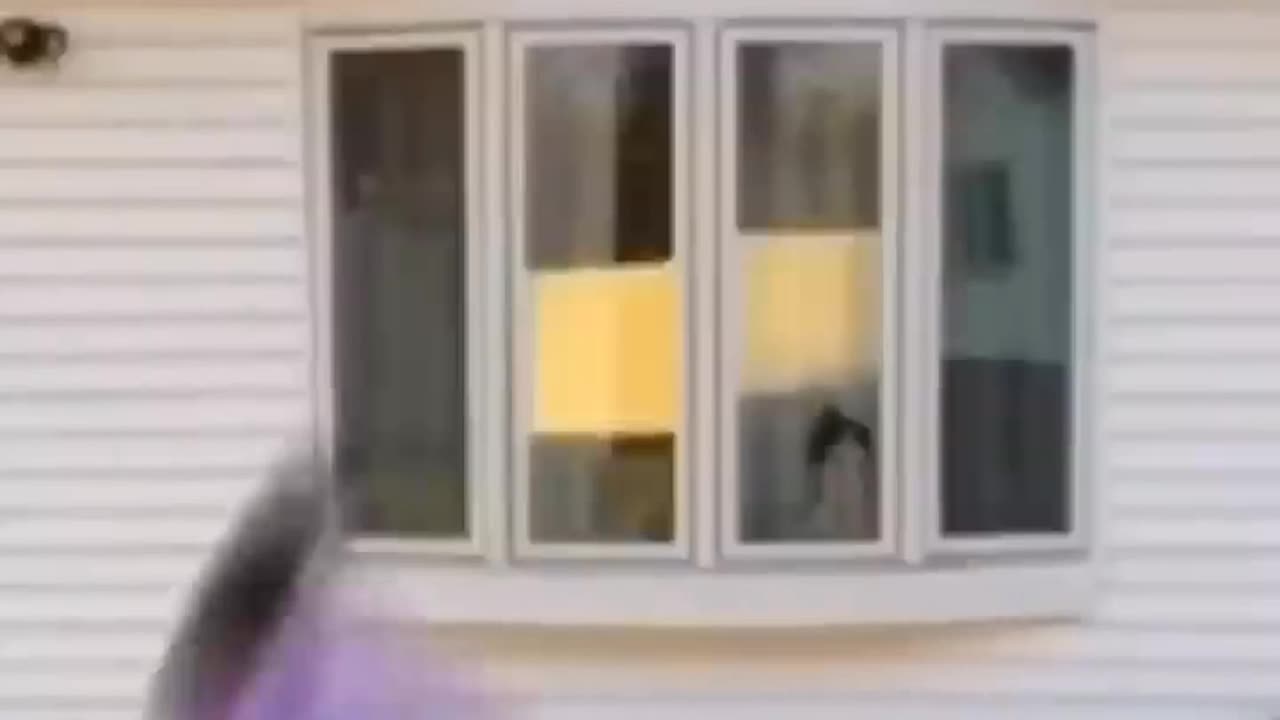 Where she is flying to?