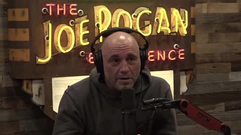 Joe Rogan slams woke Big Tech employees as 'mentally ill'