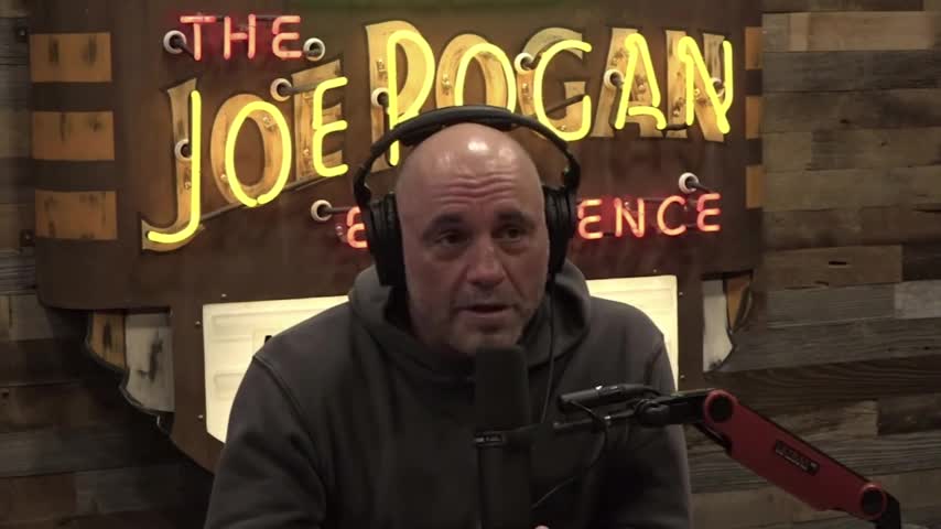 Joe Rogan slams woke Big Tech employees as 'mentally ill'