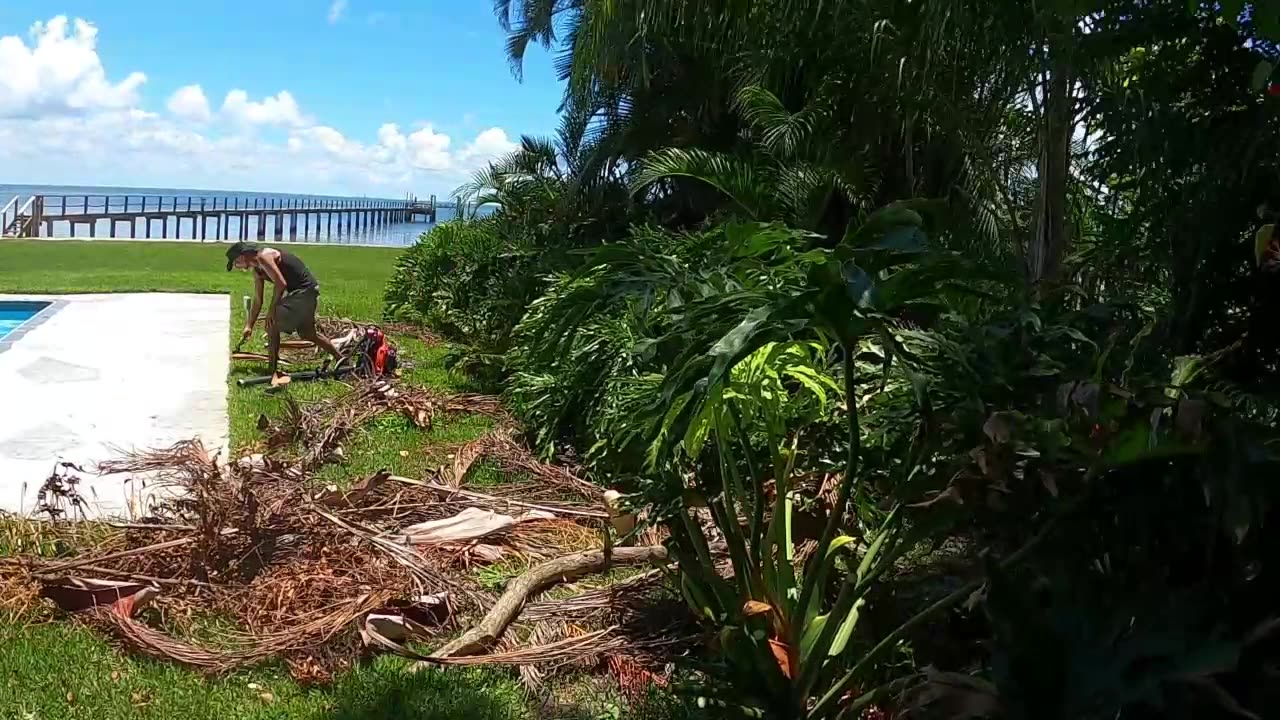 landscaping b