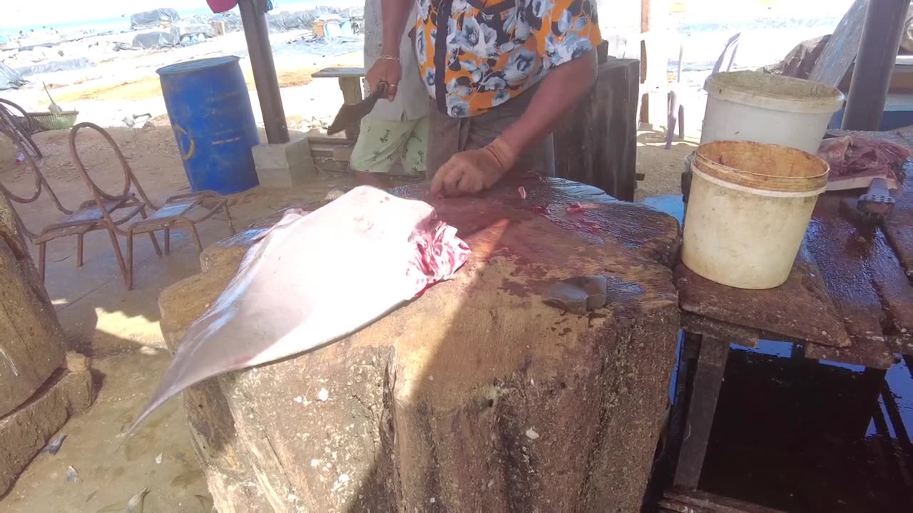 Huge Ray Fish Cutting Skills _ Fish Cutting Skills Sri Lanka