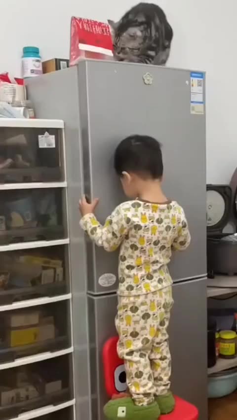 Help me to get that snack