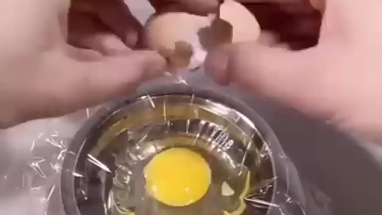 How a Chick development from egg