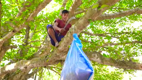 Funniest Fun Amazing videos must Entertainment comedy 2022🤣Try To Not Laugh Episode 141 By Funny Da