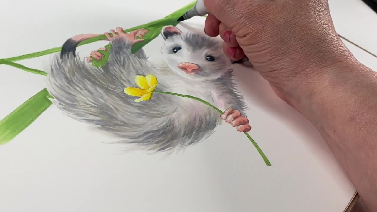 5 drawing tips how to make an animal cute