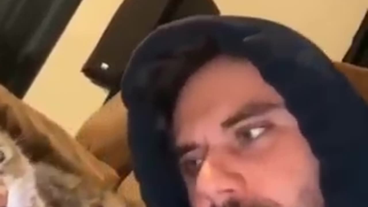 Funny animals videos 🤣🤣🤣