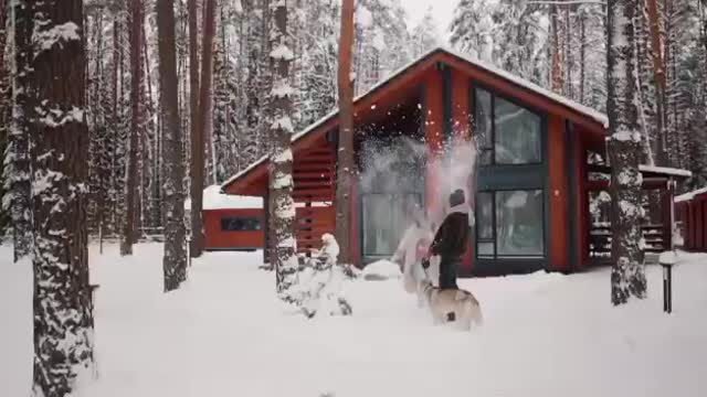 Cachorro na neve
