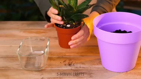 USSEFULL GARDENING HACKS FOR SUMMER