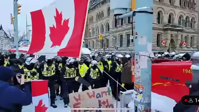 Freedom convoy police beating peaceful trucker