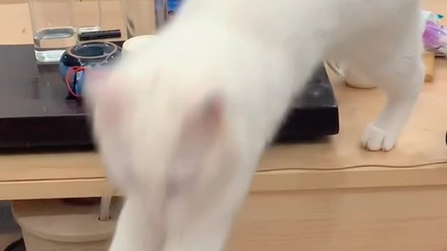 Themasteristoobad.hahahaha