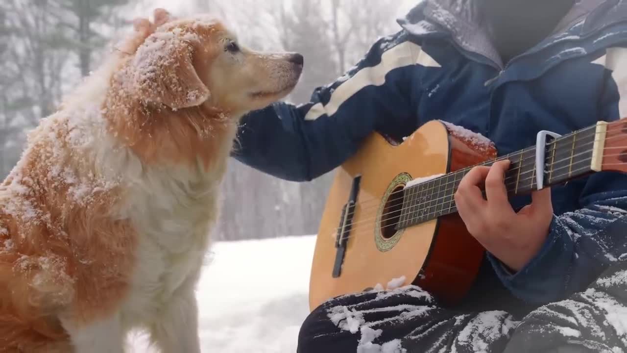 Paradise - Coldplay Fingerstyle Guitar