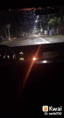 🇺🇸🇧🇷 🐸🙏 Pray For Brazil | #3