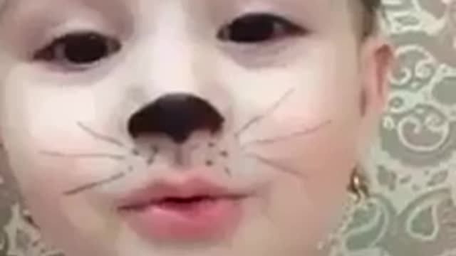 Little cat