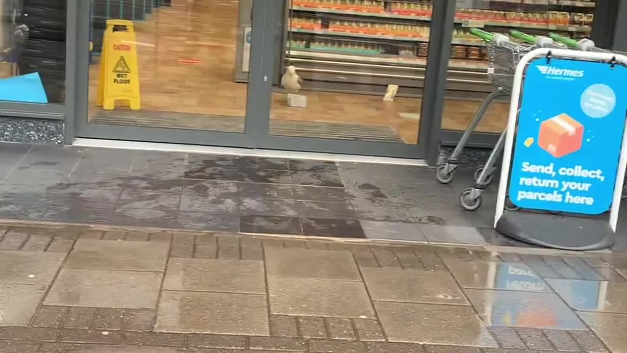 how a hungry bird satisfied its hunger