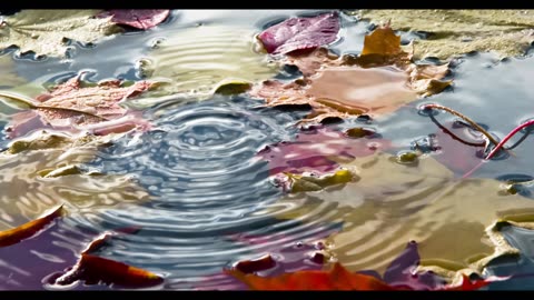 Protesta de Boston contra la máquina de guerra israelí – Una vez más en la brecha –