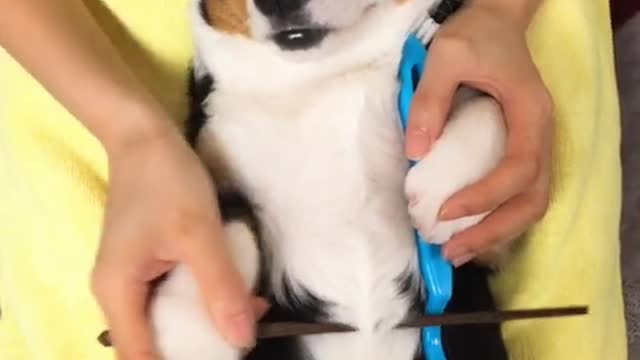 It's not easy to wait for him to sleep so deeply
