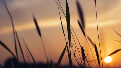 sunset relaxing feel video