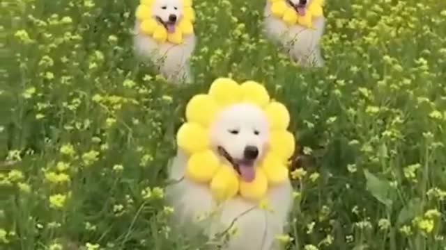 when you die this is the first thing you see