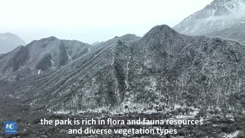 Snow cloaks Qunjia National Forest Park as winter falls