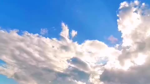 White clouds leisurely, horse lele, a beautiful picture
