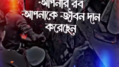 ইসলামিক ভিডিও