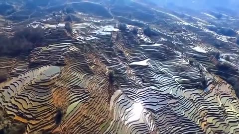 One Step Forward, China's Advanced Agricultural Technology Is Recognized By The World