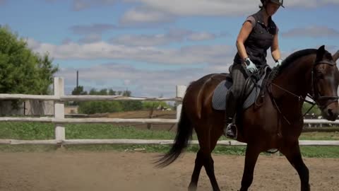 Riding horse. Girl on beautiful horse riding on manege