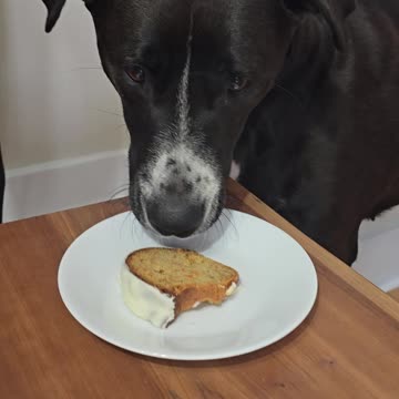 Max's second Birthday