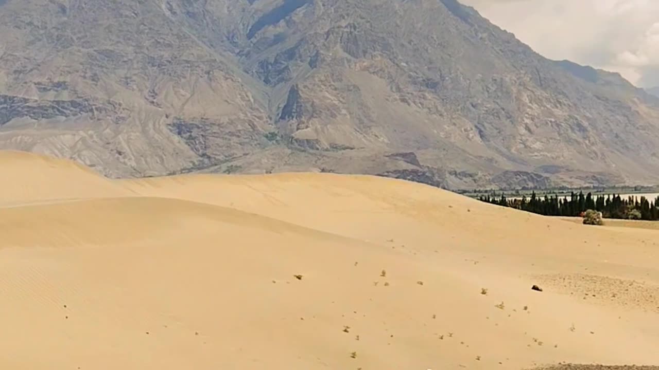 Cold Desert Katpana Valley Skardu