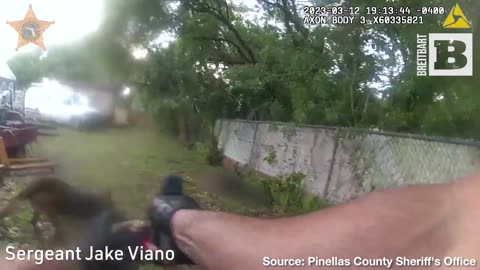 Hero K-9 Taco Helps End Threat After Bad Guy Shoots His Handler 3 Times