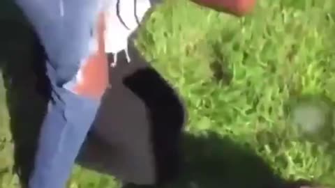 Fights here, there and everywhere.