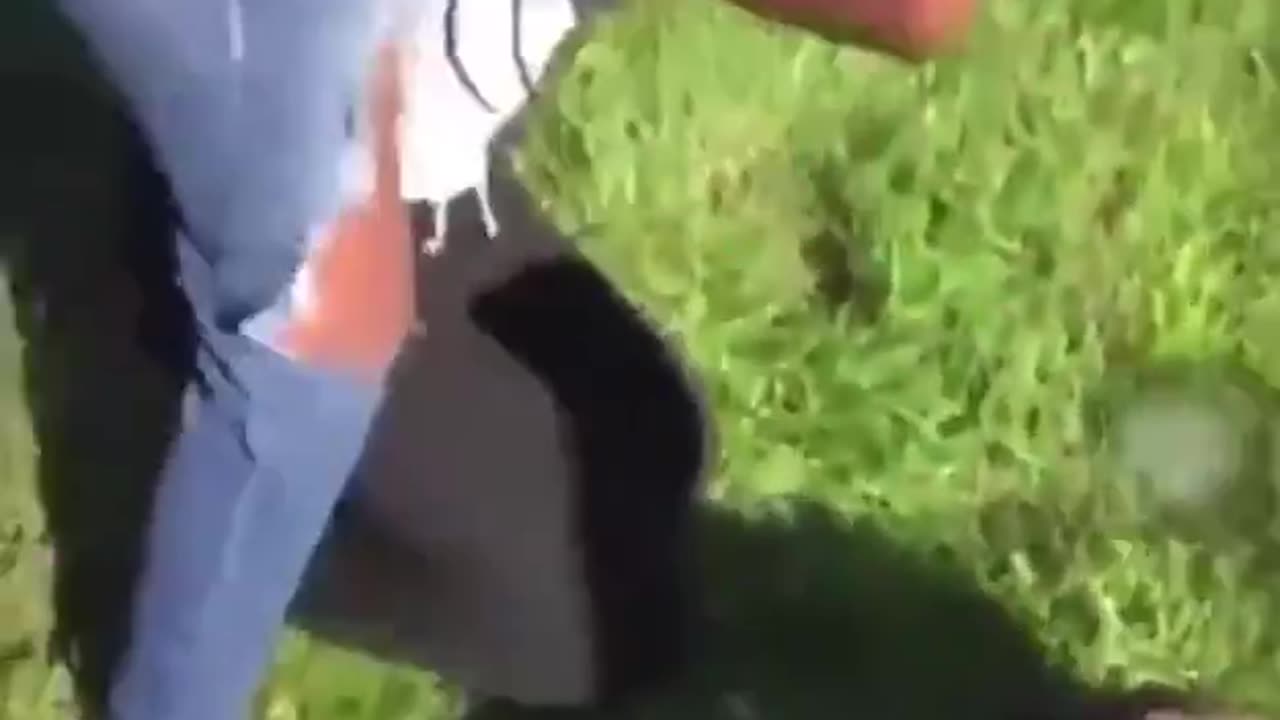 Fights here, there and everywhere.