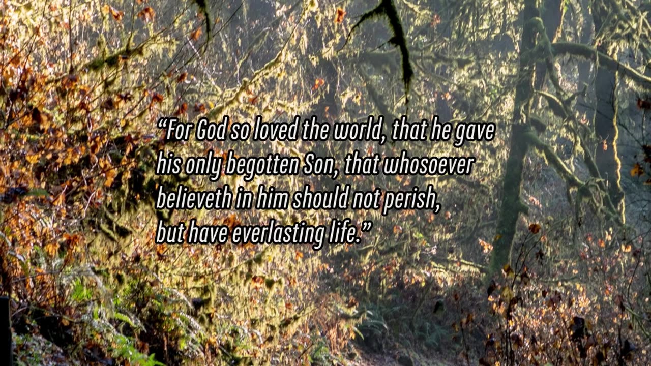 The Good News!
