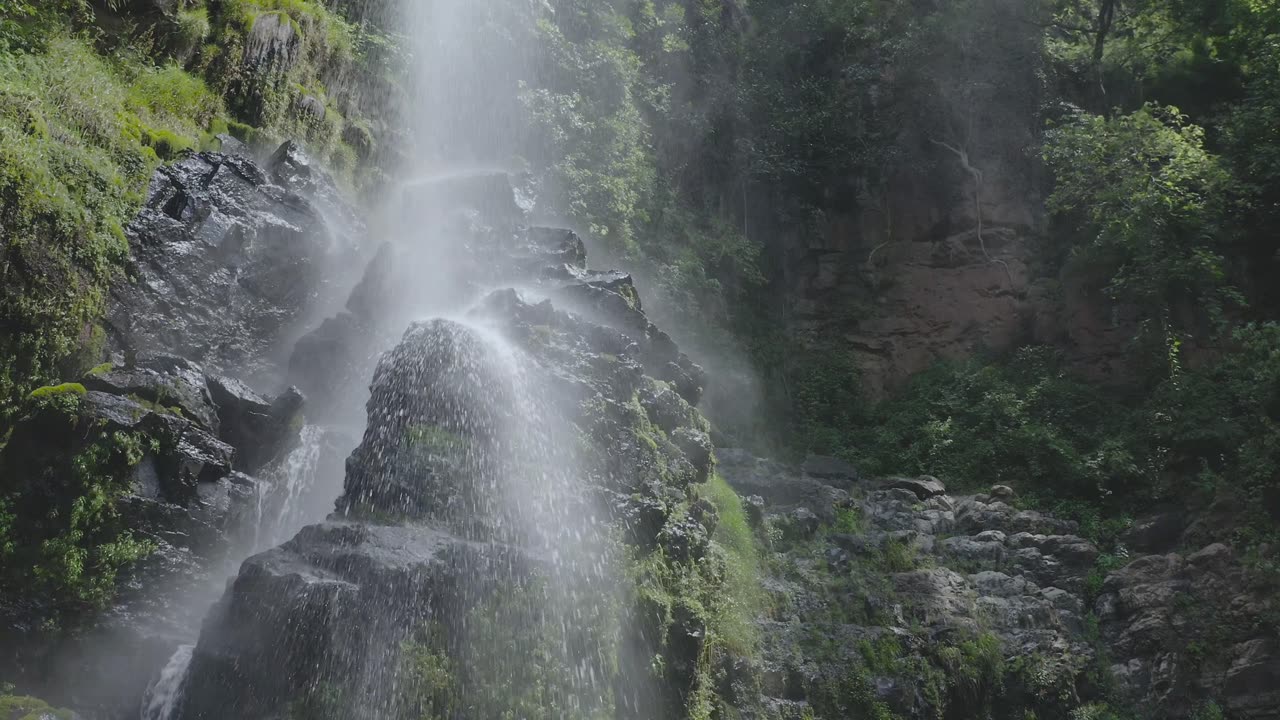 Waterfall in Forest | Immerse Yourself in Nature's Beauty