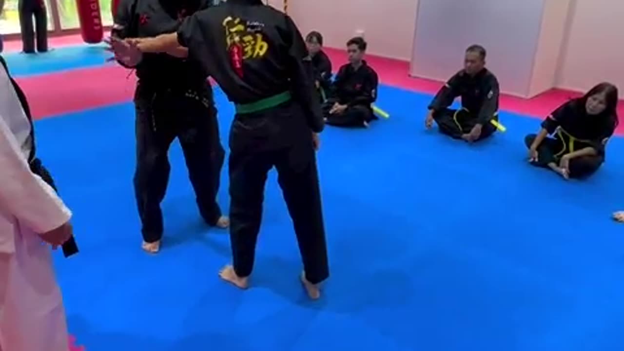 Hapkido