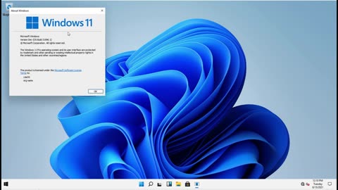 Windows 11 Pro 64Bit - LiteOS [Build 21996]