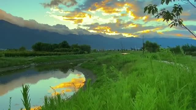 The romance of early summer is reflected in the river beside the road