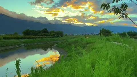 The romance of early summer is reflected in the river beside the road