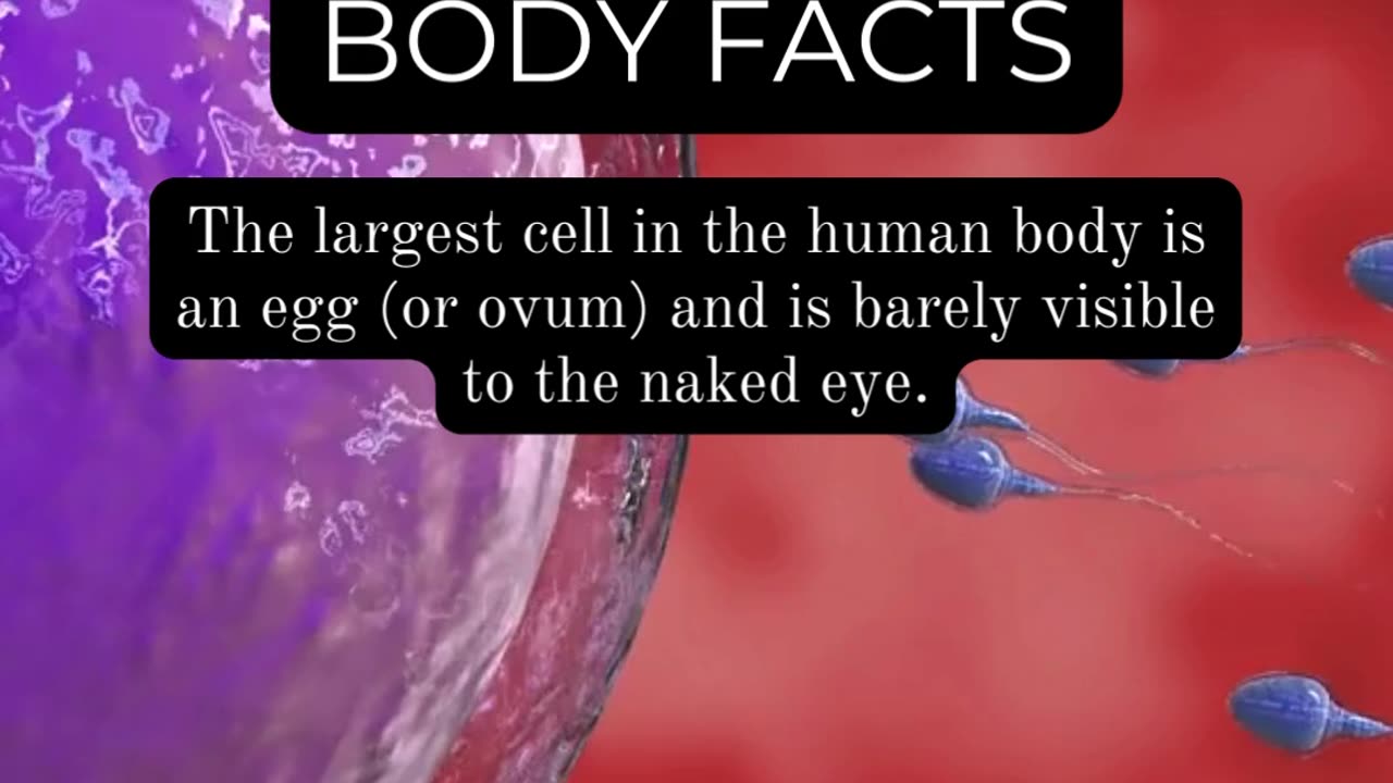 The Human Body Uncovered: Surprising Revelations