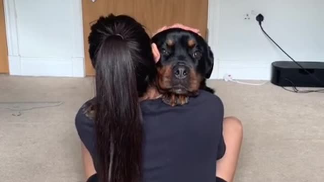 Girl hug the dog (cute moment)