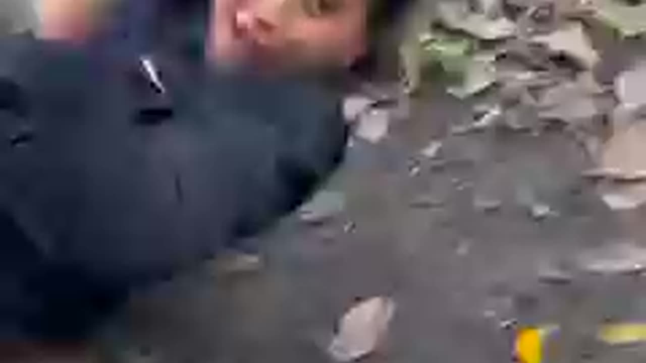 Fani video..