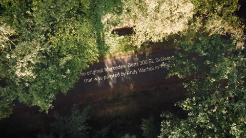 The Andy Warhol 300 SL