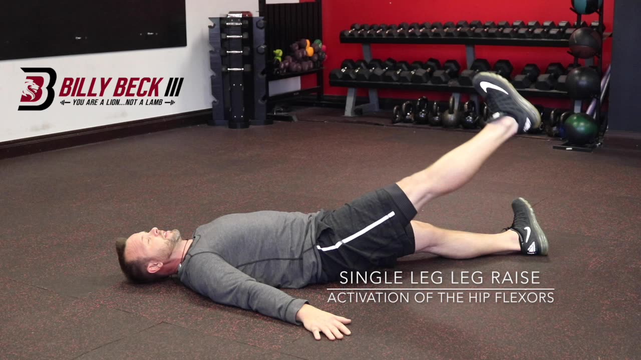 Single Leg Leg Raise