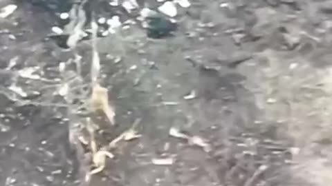 Russians Pinned Down on Side of Bridge